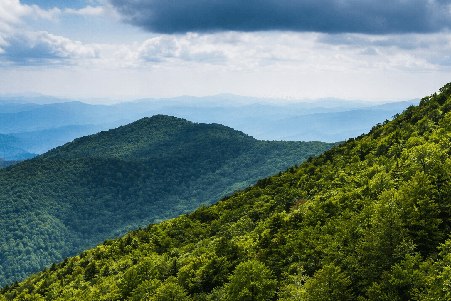 Accurate Mortgage - mortgage in Franklin, Tennessee