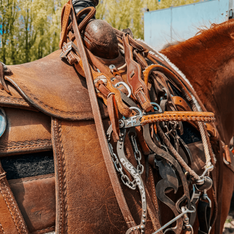 Arrow F Apparel - clothing-boutiques in Shelley, Idaho